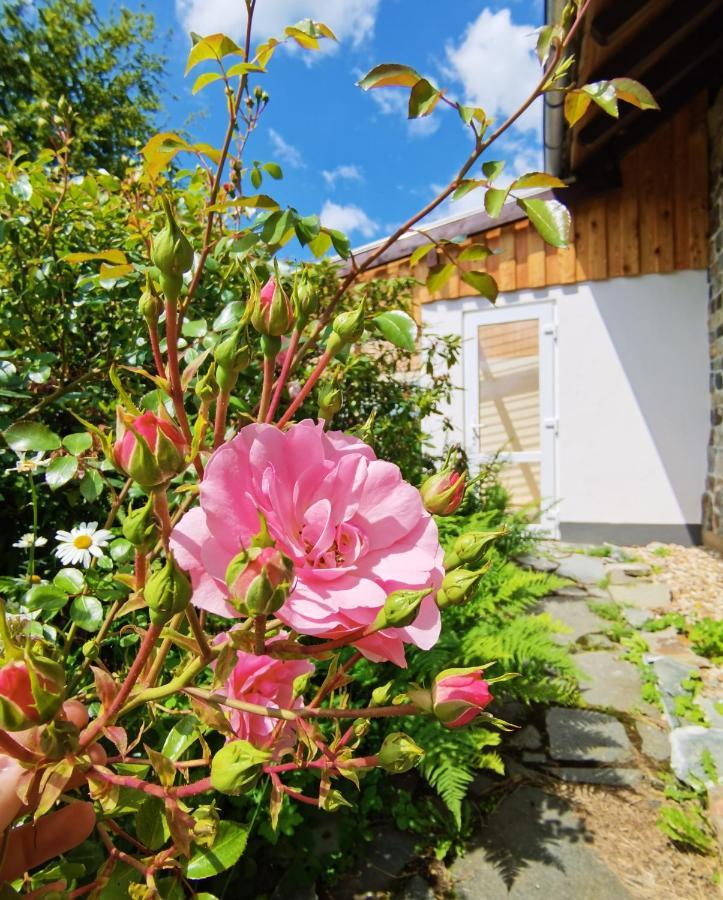 Ferienhaus Eifelrose Simmerath Exterior photo