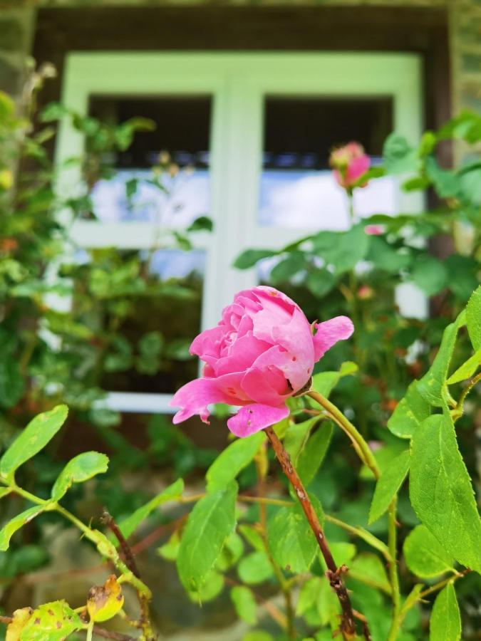 Ferienhaus Eifelrose Simmerath Exterior photo